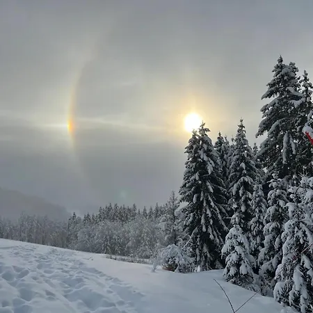 Le Regina Apartment Megeve
